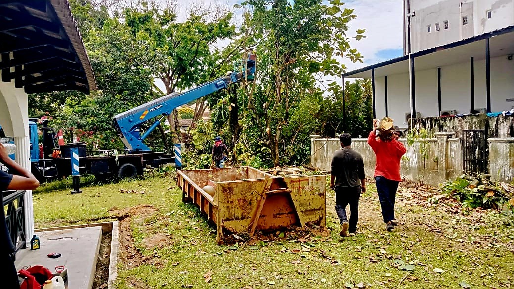 Tree Cutting