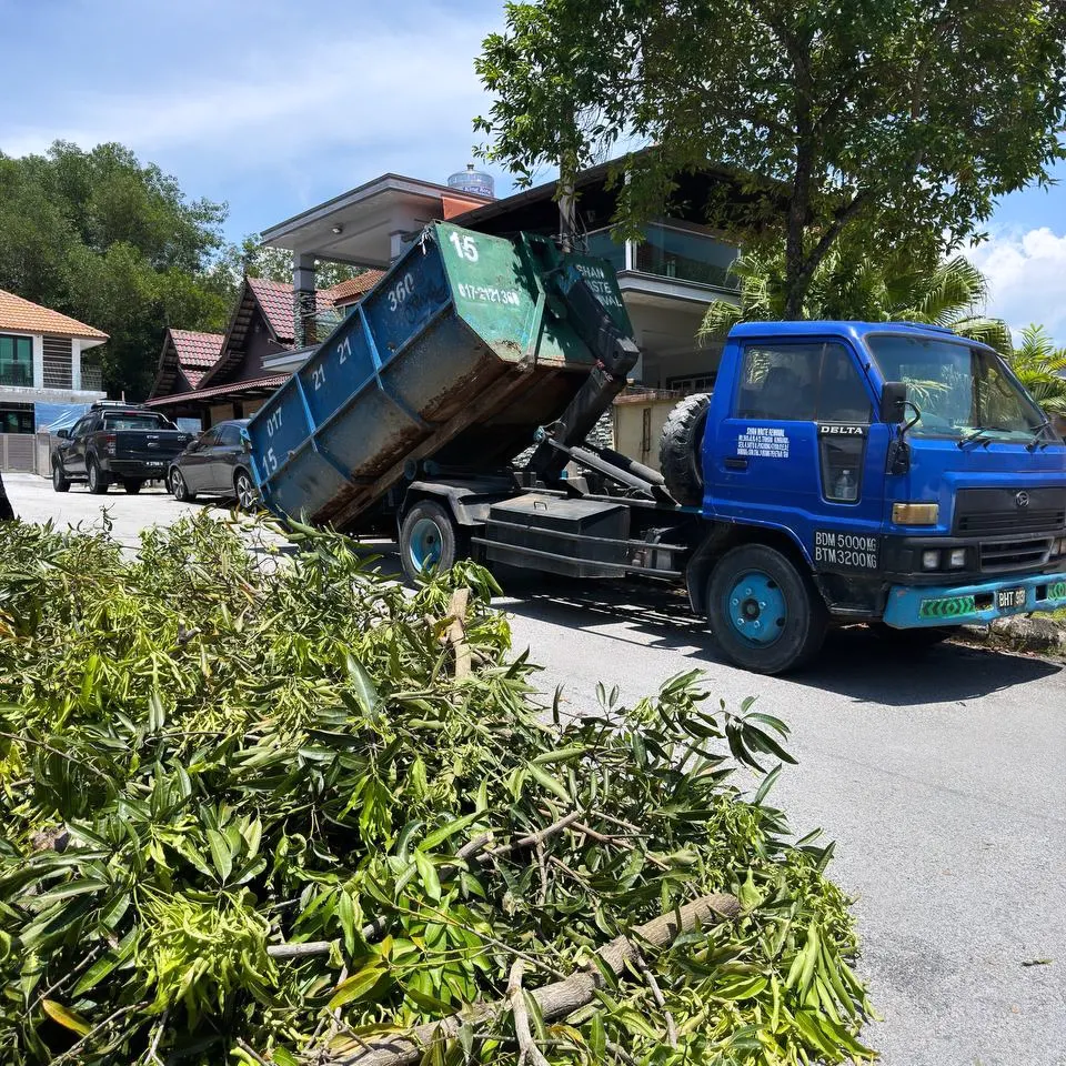 profrssional tree cutting